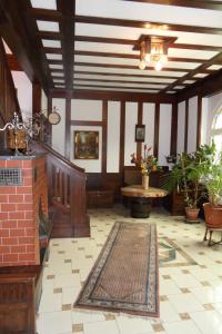 a living room with a fireplace and a rug on the floor at Villa Biso in Solingen