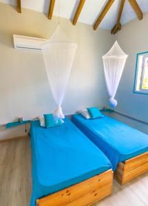 two beds in a room with blue sheets and curtains at amour Deshaies in Deshaies