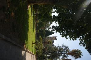A garden outside Hostal Alcázar