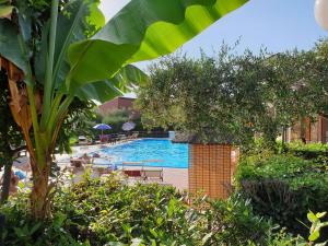 a swimming pool with tables and chairs and trees at Campeggio Gianna Golfo dei Poeti in Lerici
