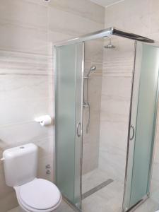 uma casa de banho com um WC e uma cabina de duche em vidro. em Apartments Bartol em Vir