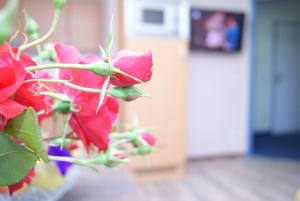 Televízia a/alebo spoločenská miestnosť v ubytovaní Apartments Hartsleben + 16 fotografií