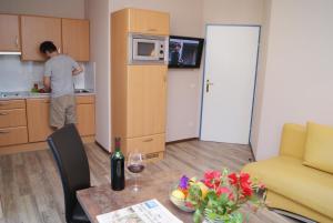 Kuchyňa alebo kuchynka v ubytovaní Apartments Hartsleben