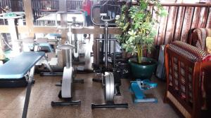 a room with a gym with a potted plant at Country House Alfarim in Alfarim