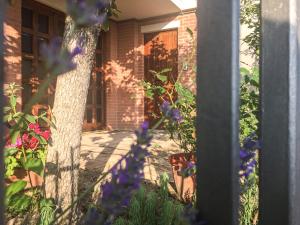 Zahrada ubytování B&B Villa Sophie