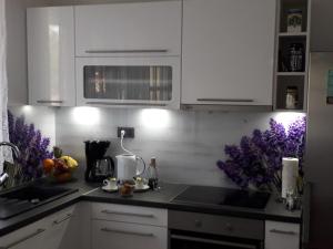 Kuchyň nebo kuchyňský kout v ubytování Apartment Karla SNB