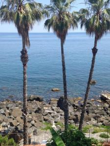 three palm trees on a rocky beach with the ocean at Villa Cavallaro in Acitrezza