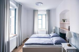 1 dormitorio con 1 cama con almohadas azules en Penzion Masarykova 37 Hluboká nad Vltavou en Hluboká nad Vltavou