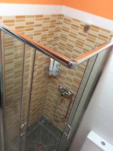 um chuveiro com uma porta de vidro na casa de banho em Pequeño Estudio Pinar 2 em Puntagorda
