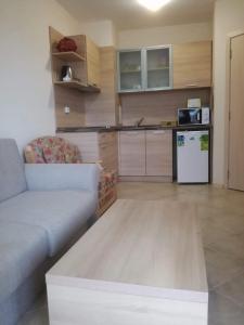 Il comprend un salon avec un canapé et une cuisine. dans l'établissement Private apartment in Emberli Aparthotel, à Lozenets