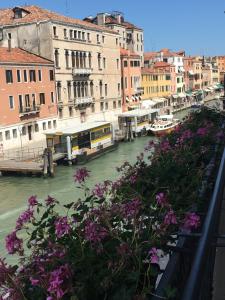 a view of a canal with buildings and purple flowers at Ca' Bonfadini Historic Experience in Venice