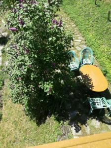 dos bancos sentados junto a un arbusto con flores púrpuras en Fuchsbauernhof, en Palfau