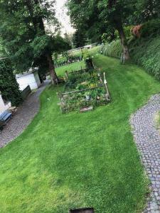 un jardin avec une table et des plantes dans l'herbe dans l'établissement 4-Zimmer Apartment auf Resthof, à Halver