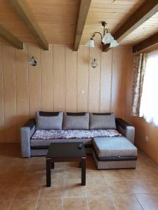 a living room with a couch and a table at Domki Nad Krystaliczną Zatoką in Polańczyk