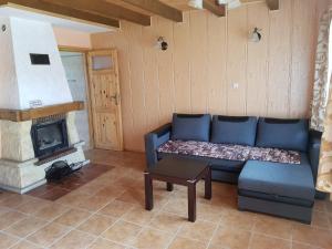 salon z kanapą i kominkiem w obiekcie Domki Nad Krystaliczną Zatoką w Polańczyku
