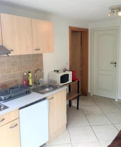 a kitchen with a sink and a microwave at La Chaumière d'Hérens in Vernamiège