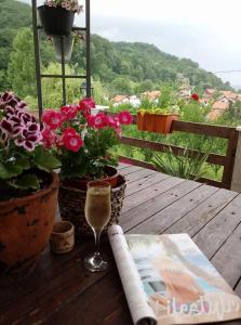 a glass of wine and a magazine on a table with flowers at Apartment AMRA in Tuzla