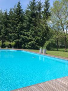 ein blauer Pool mit Bäumen im Hintergrund in der Unterkunft B&B Otterstee in Havelte