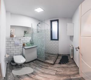 een badkamer met een douche, een toilet en een wastafel bij Teodoroiu nr. 5 in Craiova