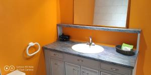 een badkamer met een wastafel en een spiegel bij soleil de Pirae in Pirae