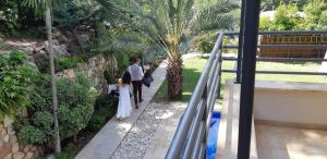 Zahrada ubytování Villa Tivon