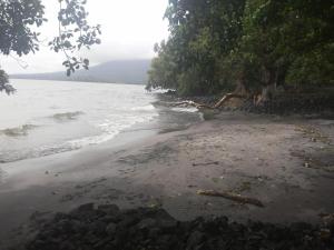 a sandy beach with trees and the water at hostal Eco-Lodge La Chiponga in Santo Domingo