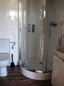 uma casa de banho com um chuveiro, um WC e um lavatório. em Apartament Baltic em Sztutowo