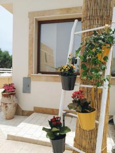 a plant stand with potted plants on it at B&B Marsà in Marzamemi