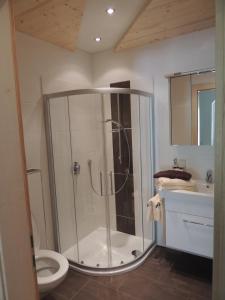 a bathroom with a shower with a toilet and a sink at Häus`l am Ruan in Berwang