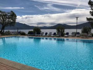 a large swimming pool with a view of the water at Residenza del Pascià - Appartamento Camphora in Oggebbio