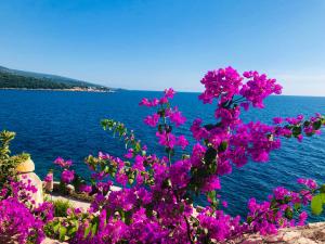 a bush with pink flowers next to a body of water at Apartments Sunny Marina in Dobra Voda