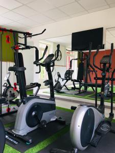 a gym with cardio machines and a mirror at Maison D'hôtes Sainte-Marie in Mirande
