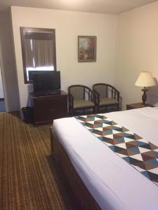 ハリソン・ホット・スプリングスにあるSpring Villa Hotelのベッドとテレビ付きのホテルルーム