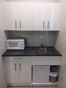 uma pequena cozinha com um lavatório e um micro-ondas em Pine Lake View Lodge em Kaiapoi