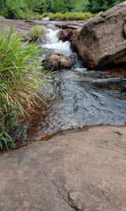 Gallery image of Lavendra Guset House in Adams Peak