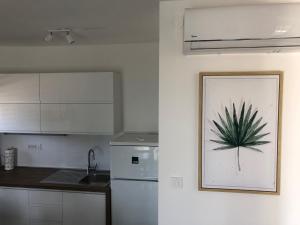 Kuchyňa alebo kuchynka v ubytovaní Villa Lorenta Apartments