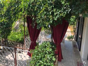 Vonkajšia záhrada v ubytovaní Villa Lorenta Apartments