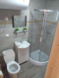 a bathroom with a shower and a toilet and a sink at Domki Letniskowe Verona in Władysławowo