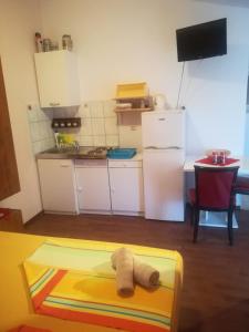 Kuchyň nebo kuchyňský kout v ubytování Apartmani Babić Vir