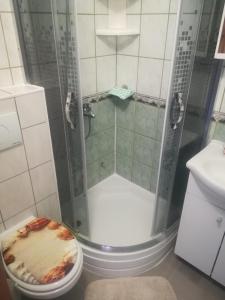 Koupelna v ubytování Apartmani Babić Vir + 37 fotografií