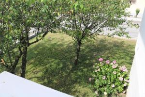 A garden outside Villa Ginny