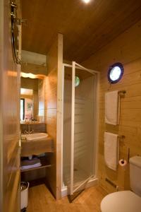 a bathroom with a shower and a sink and a toilet at Abbaye du Palais in Thauron