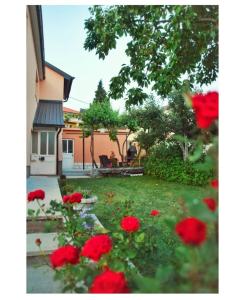 une cour avec des fleurs rouges et une maison dans l'établissement Apartmani Baljak, à Livno