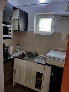 Kuchyň nebo kuchyňský kout v ubytování Casa Șallai