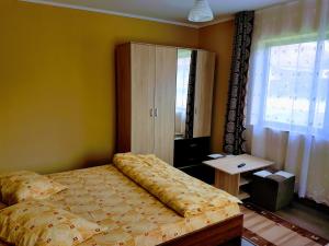 Postel nebo postele na pokoji v ubytování Casa Șallai