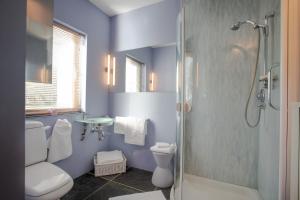 a blue bathroom with a toilet and a shower at Powdermills B & B in Inveraray