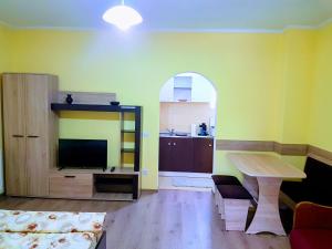 Kuchyň nebo kuchyňský kout v ubytování Casa Șallai