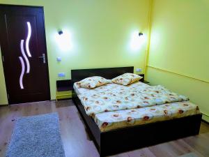 Postel nebo postele na pokoji v ubytování Casa Șallai