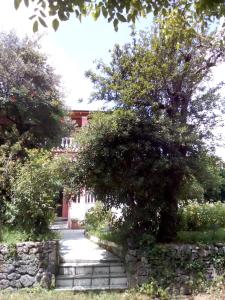 un camino de piedra que conduce a una casa con un árbol en Dora Apartment By Hotelius, en Corfú