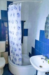 Koupelna v ubytování Casa Șallai